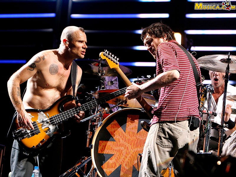 Fondo de pantalla de Red Hot Chili Peppers