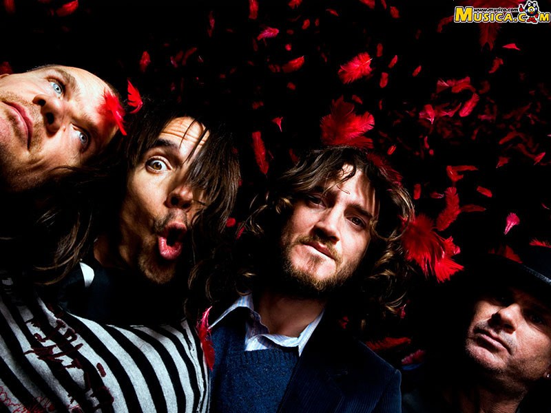 Fondo de pantalla de Red Hot Chili Peppers