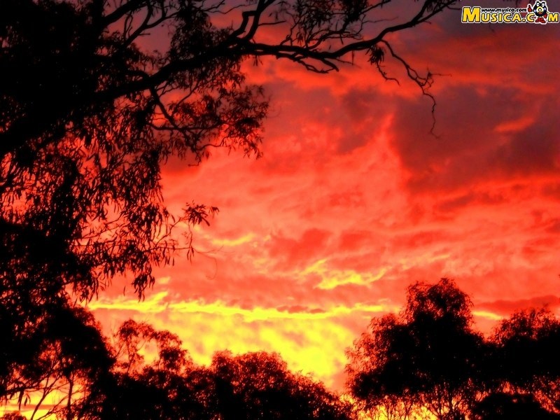 Fondo de pantalla de Cielo Rojo