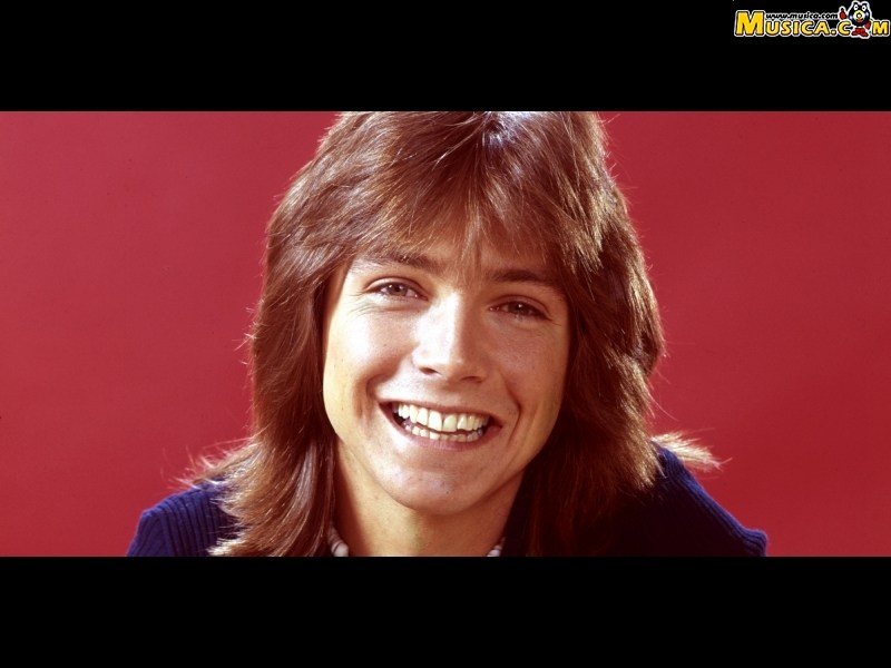 Fondo de pantalla de David Cassidy