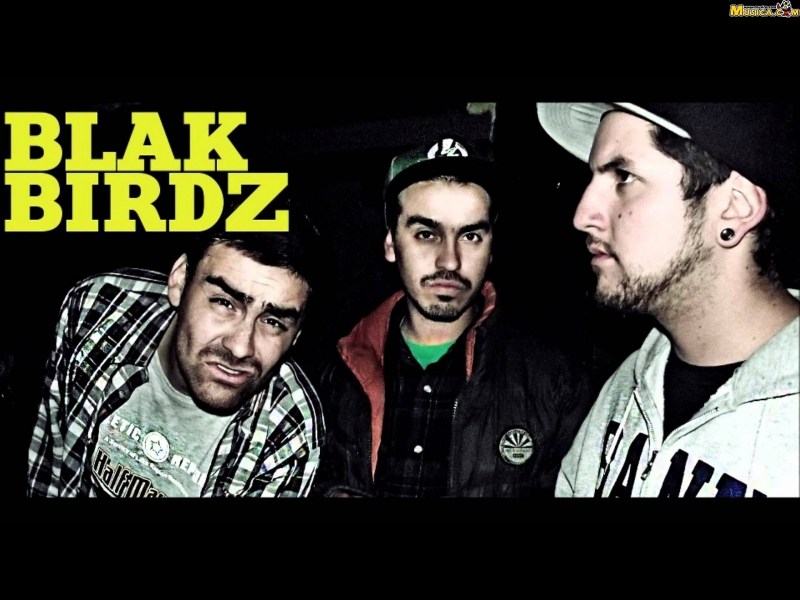 Fondo de pantalla de Blakbirdz