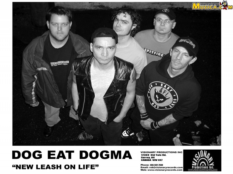 Fondo de pantalla de Dog Eat Dogma