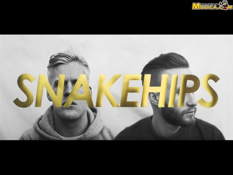 Fondo de pantalla de Snakehips