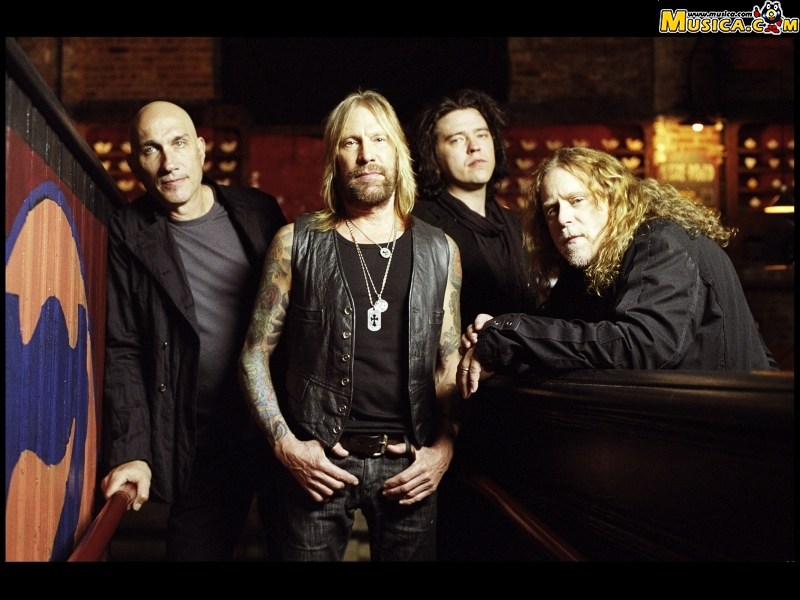 Fondo de pantalla de Gov't Mule
