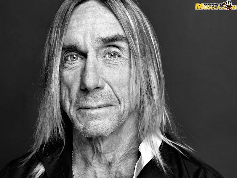 Fondo de pantalla de Iggy Pop