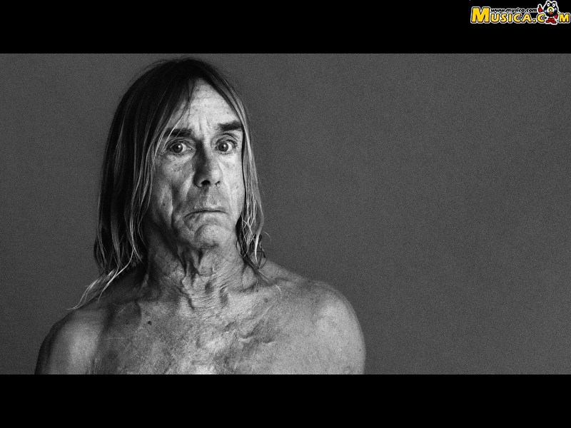 Fondo de pantalla de Iggy Pop