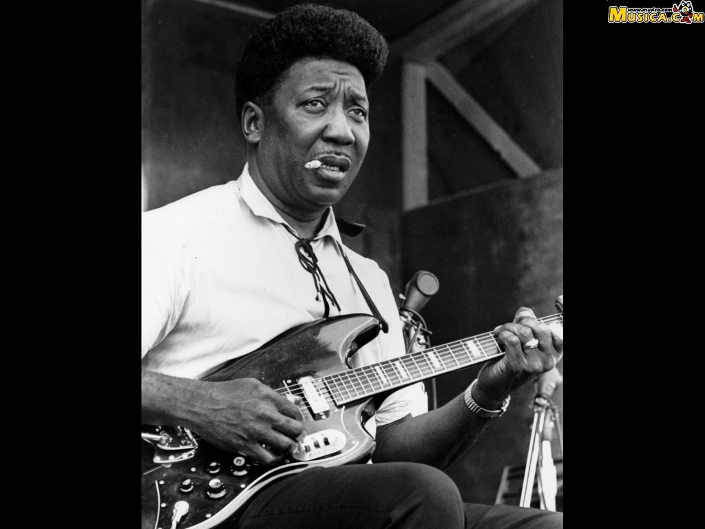 Fondo de pantalla de Muddy Waters