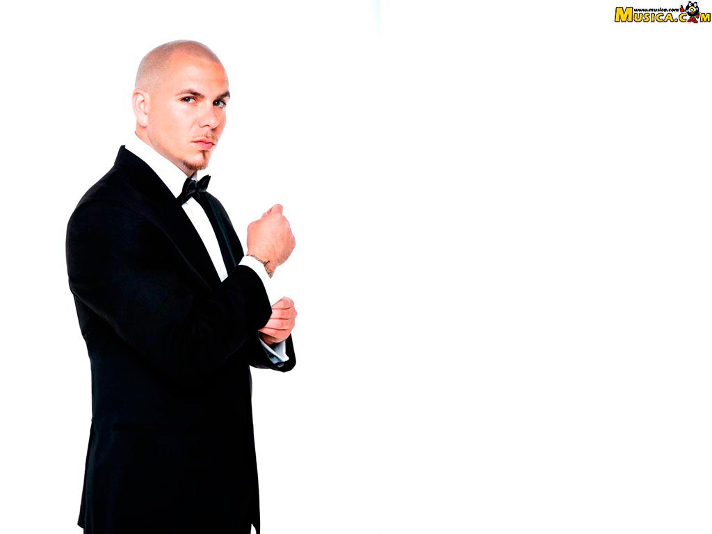 Fondo de pantalla de Pitbull