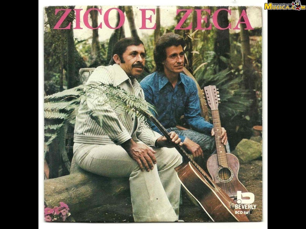 Fondo de pantalla de Zico e Zeca
