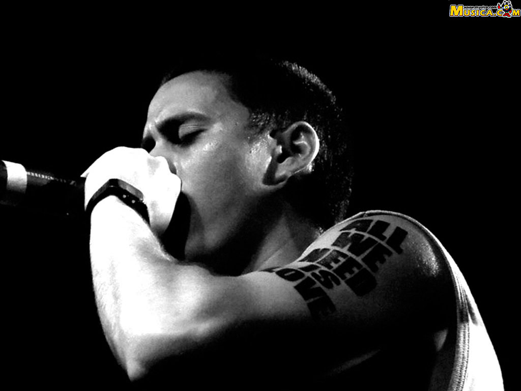 Fondo de pantalla de Canserbero