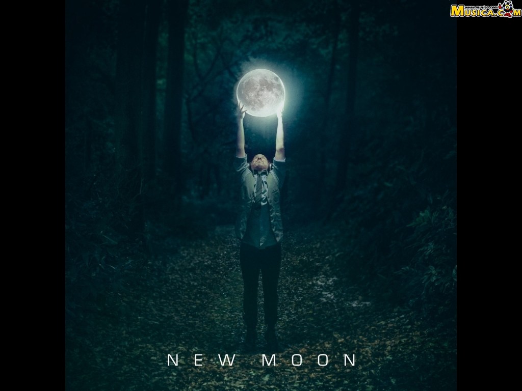 Fondo de pantalla de New Moon