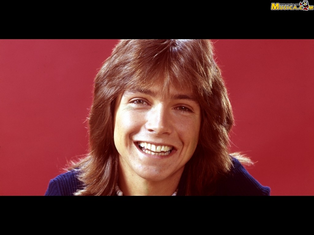 Fondo de pantalla de David Cassidy