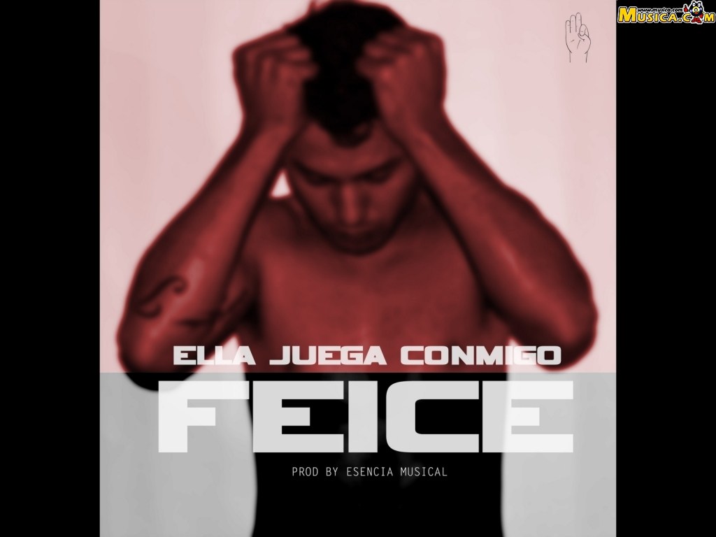 Fondo de pantalla de Feice