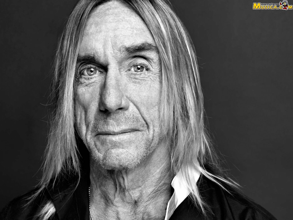 Fondo de pantalla de Iggy Pop