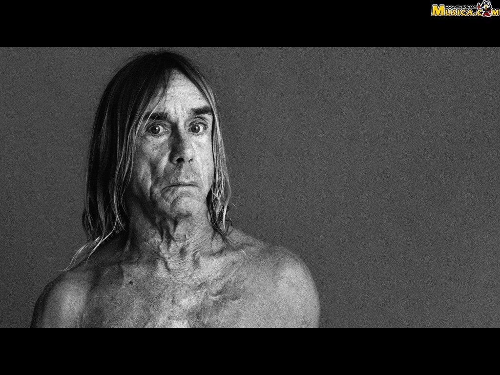 Fondo de pantalla de Iggy Pop