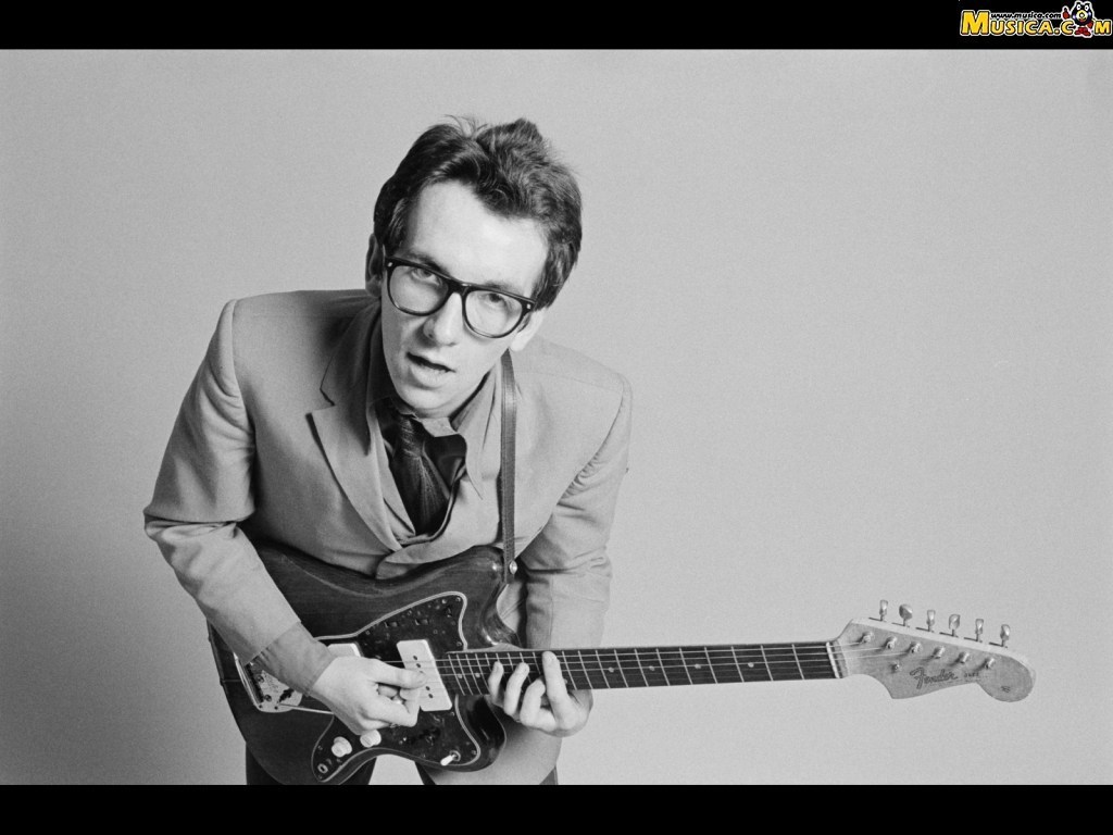 Fondo de pantalla de Elvis Costello