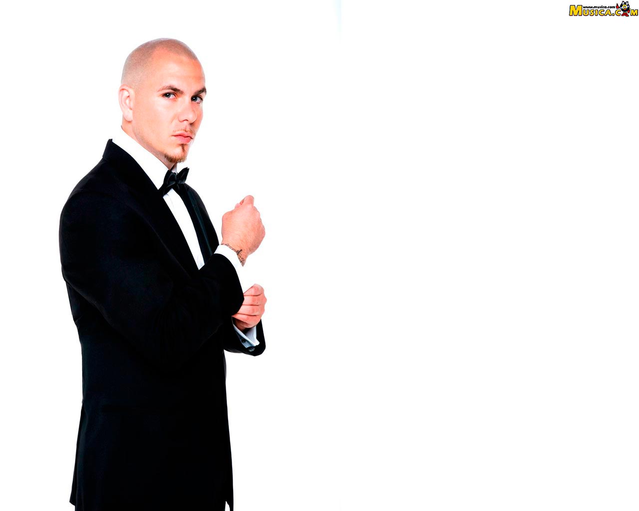 Fondo de pantalla de Pitbull