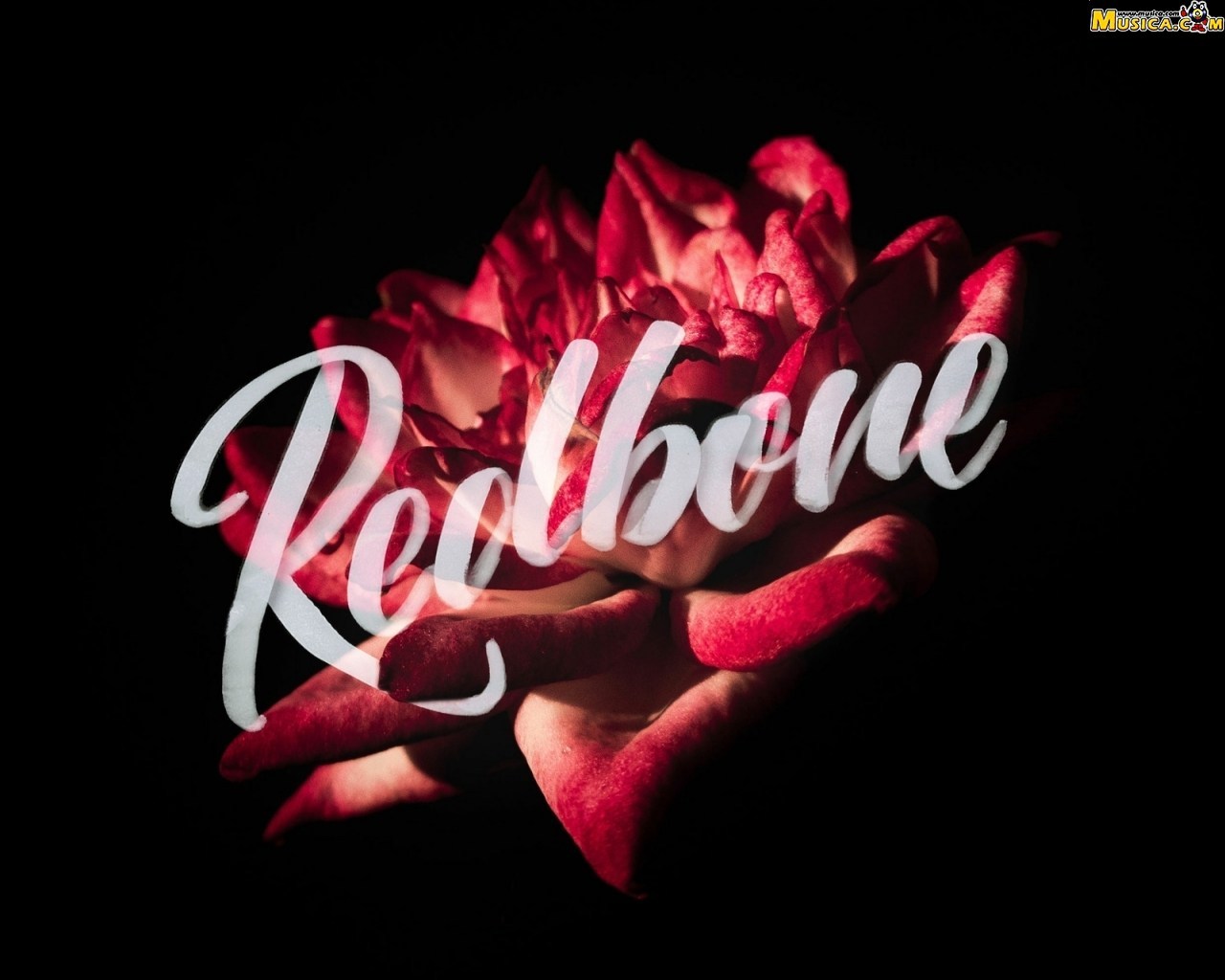 Fondo de pantalla de Redbone