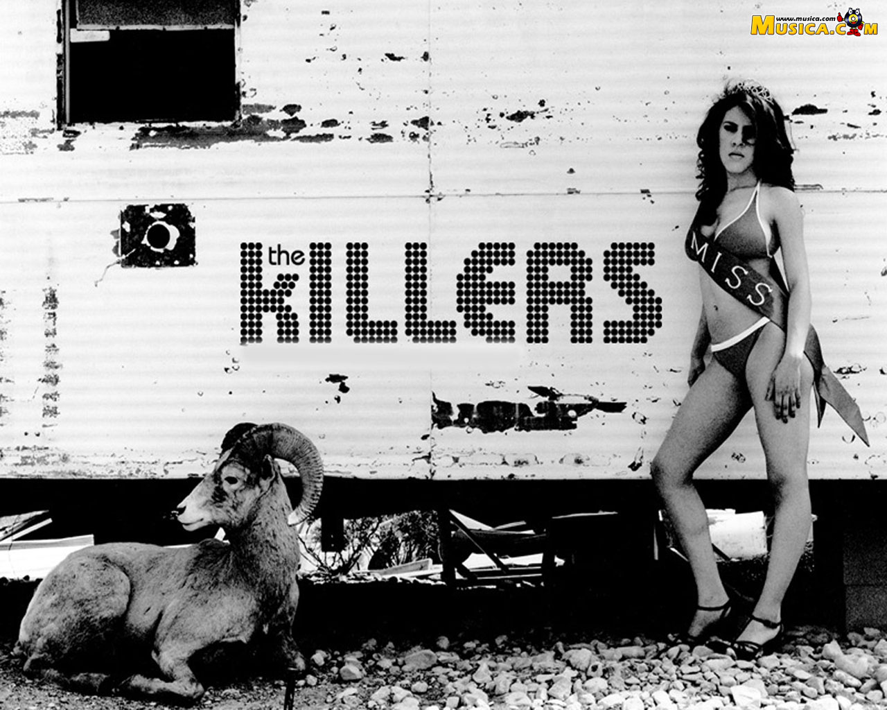 Fondo de pantalla de The Killers