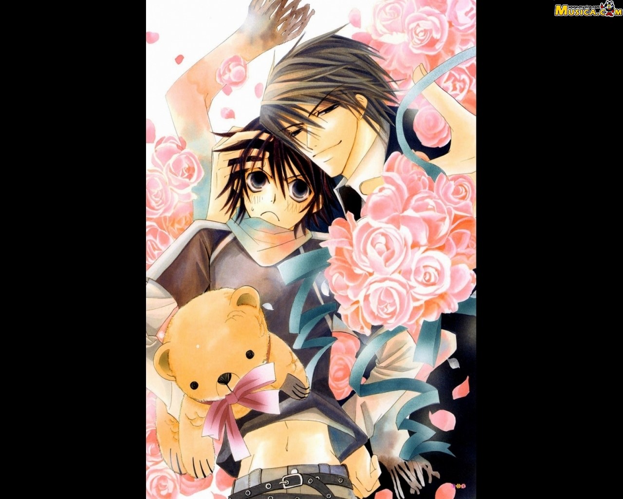 Fondo de pantalla de Junjou Romantica