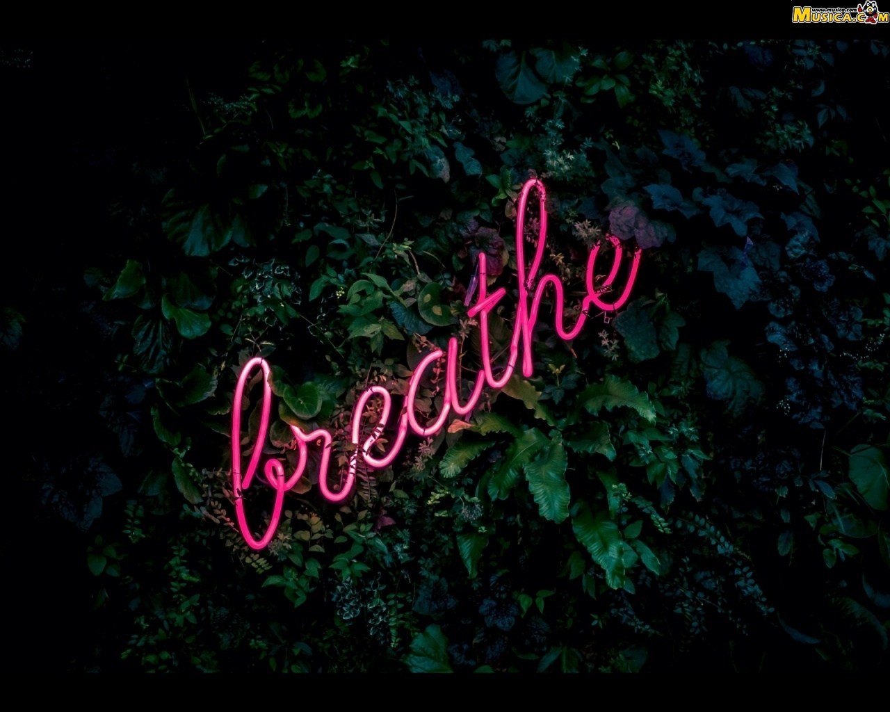 Fondo de pantalla de Breathe