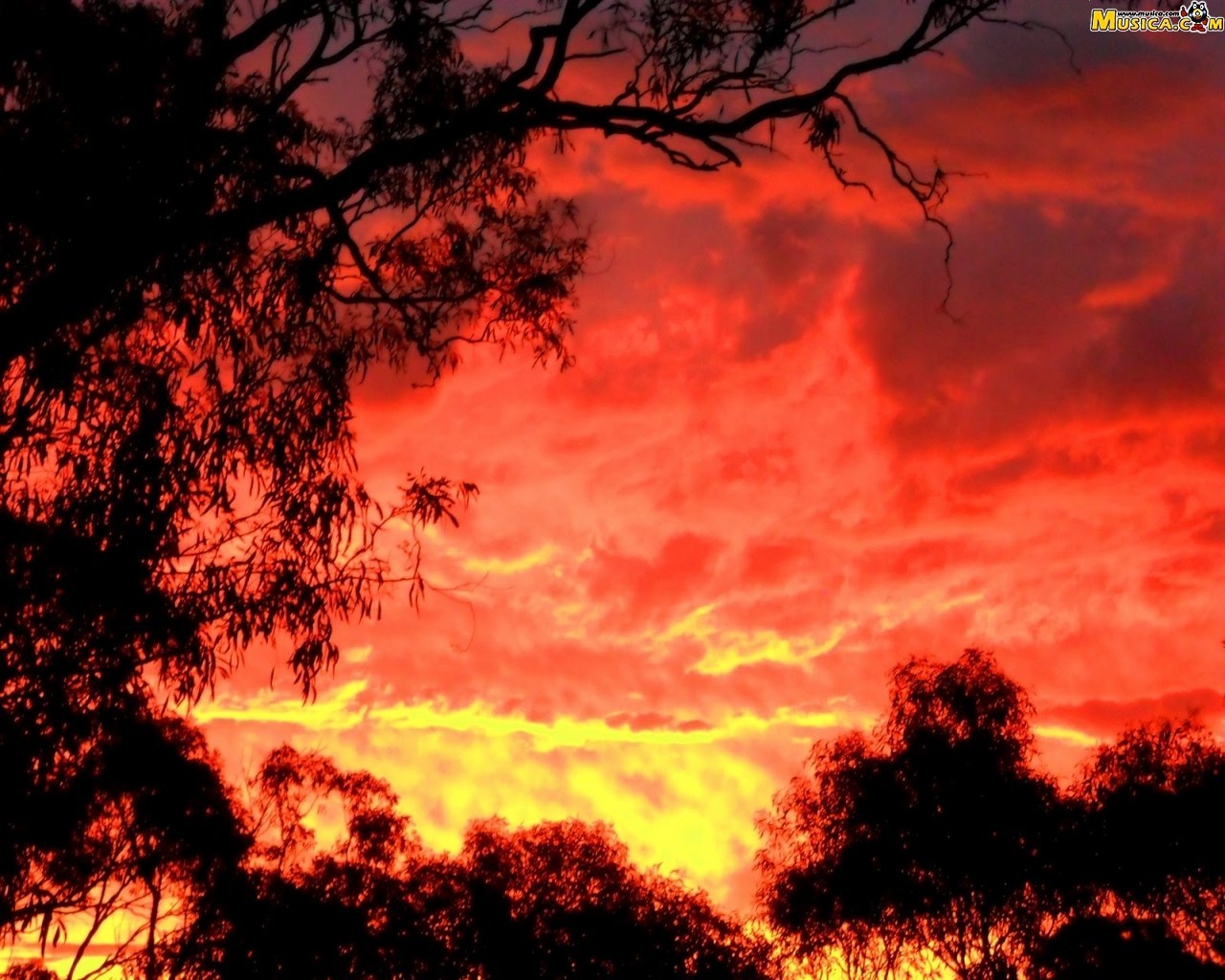 Fondo de pantalla de Cielo Rojo