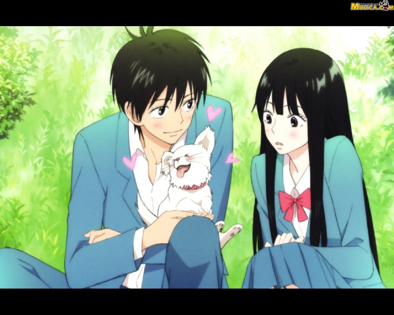 Fondo de pantalla de Kimi Ni Todoke