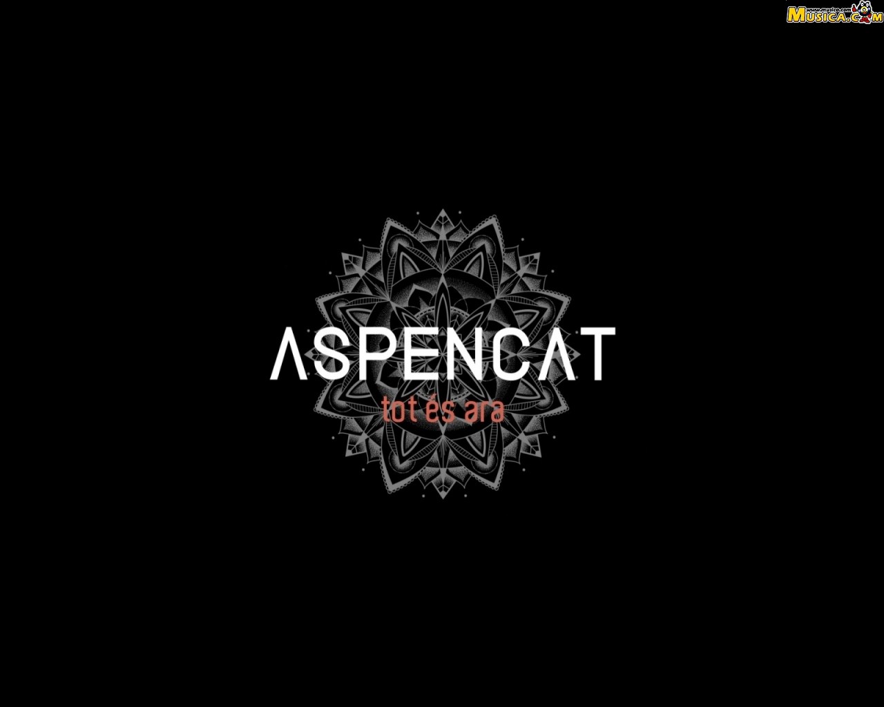 Fondo de pantalla de Aspencat