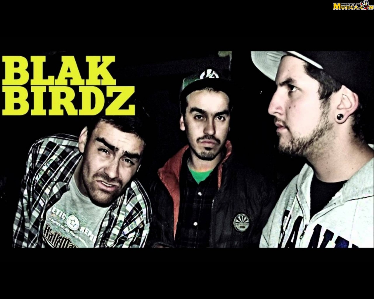 Fondo de pantalla de Blakbirdz