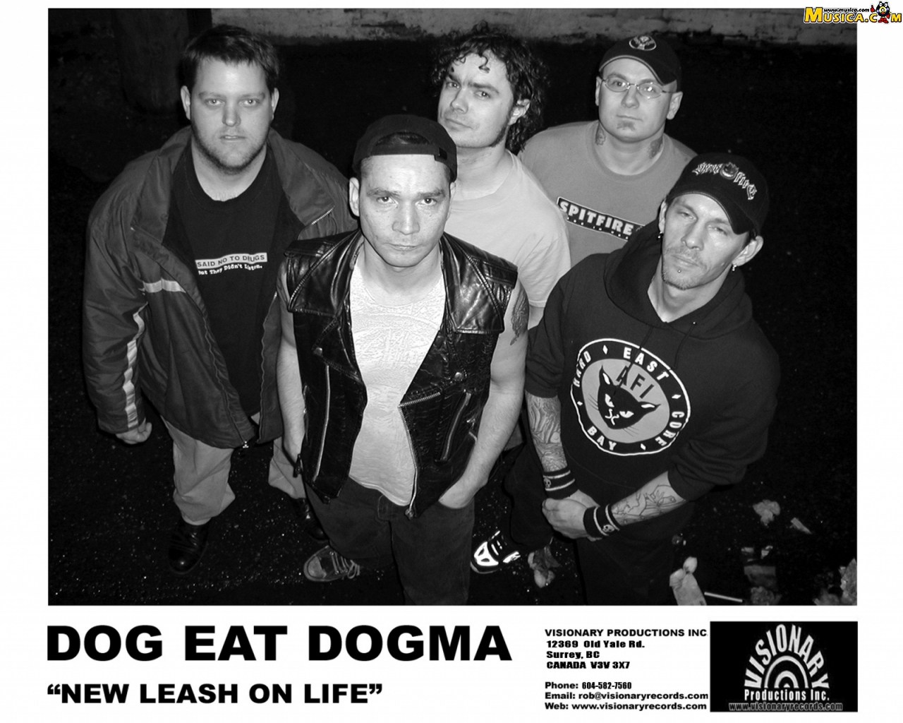 Fondo de pantalla de Dog Eat Dogma