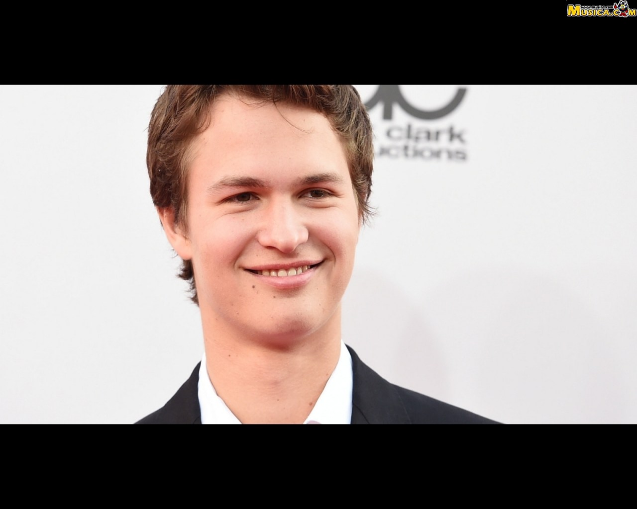 Fondo de pantalla de Ansel Elgort