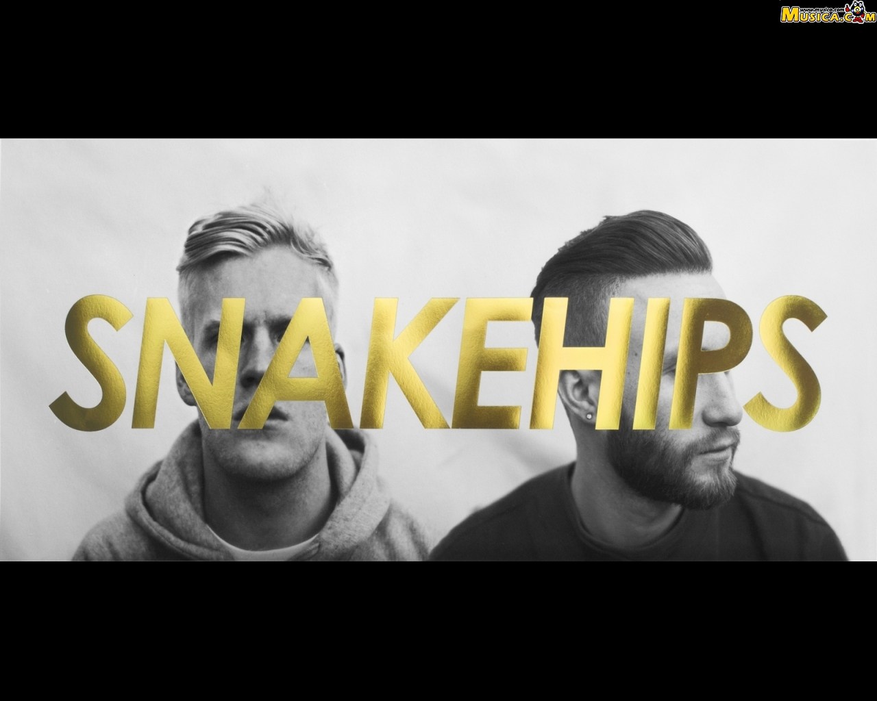 Fondo de pantalla de Snakehips