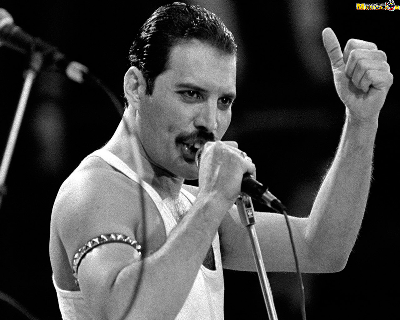 Fondo de pantalla de Freddie Mercury