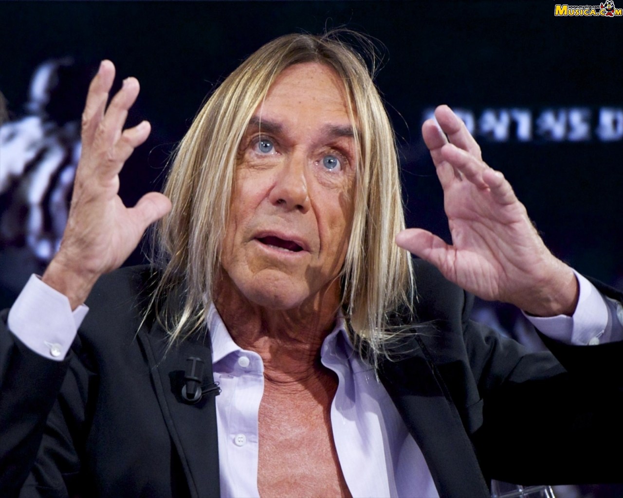 Fondo de pantalla de Iggy Pop