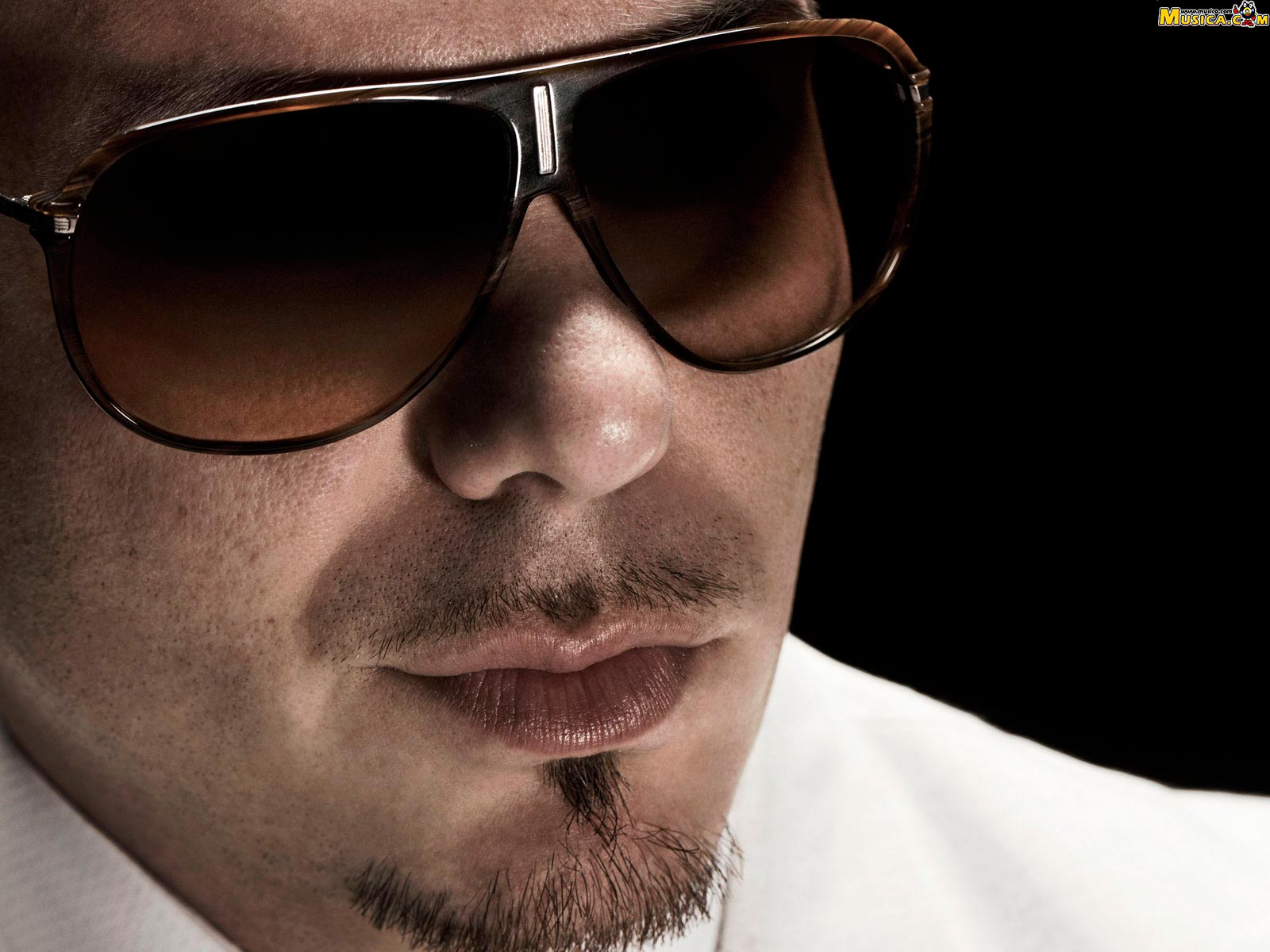 Fondo de pantalla de Pitbull