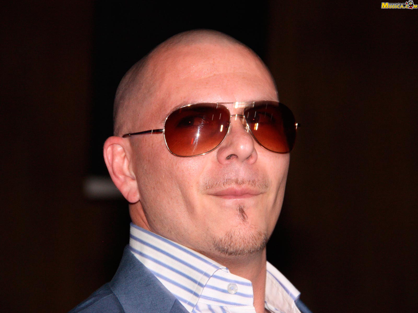 Fondo de pantalla de Pitbull