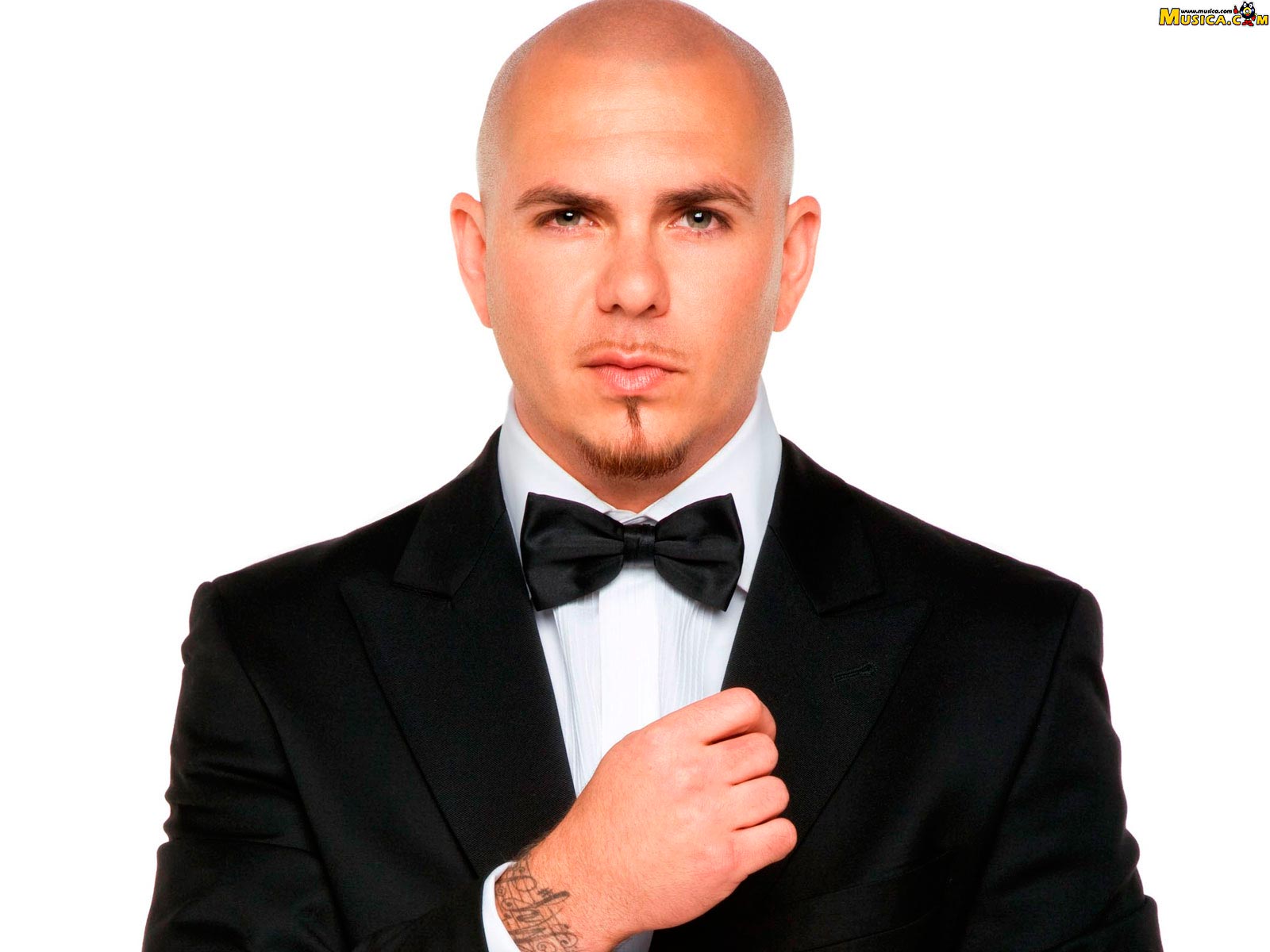 Fondo de pantalla de Pitbull