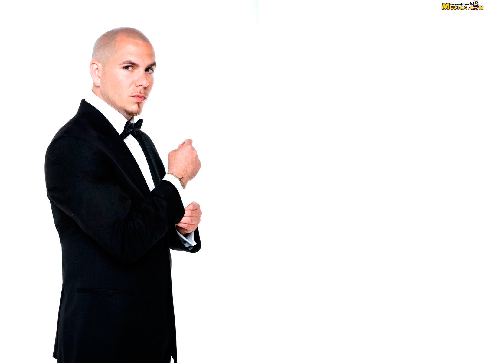 Fondo de pantalla de Pitbull