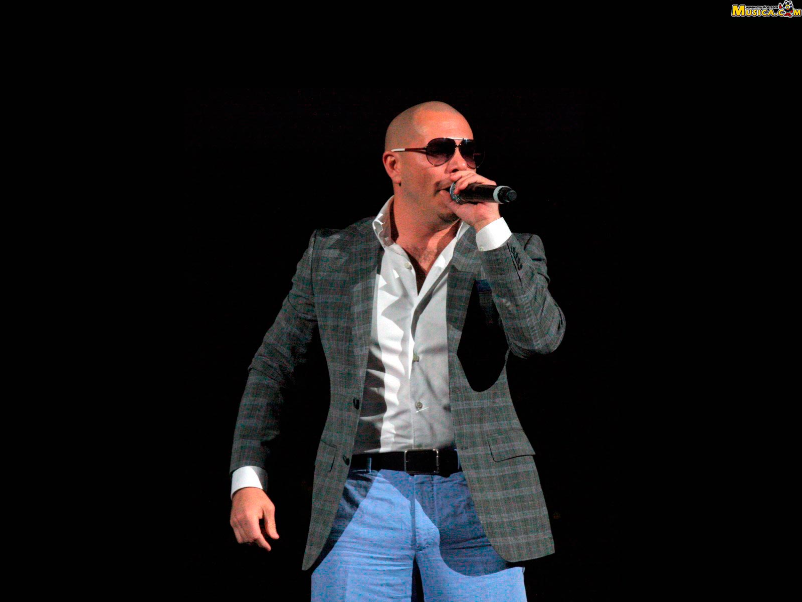 Fondo de pantalla de Pitbull