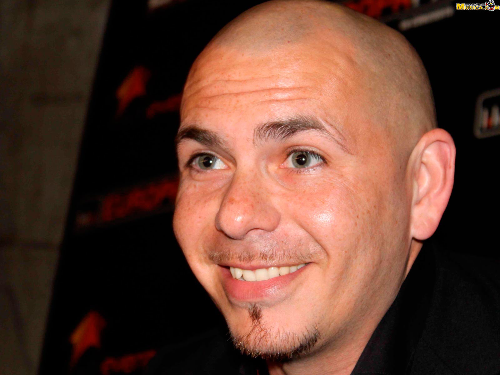 Fondo de pantalla de Pitbull