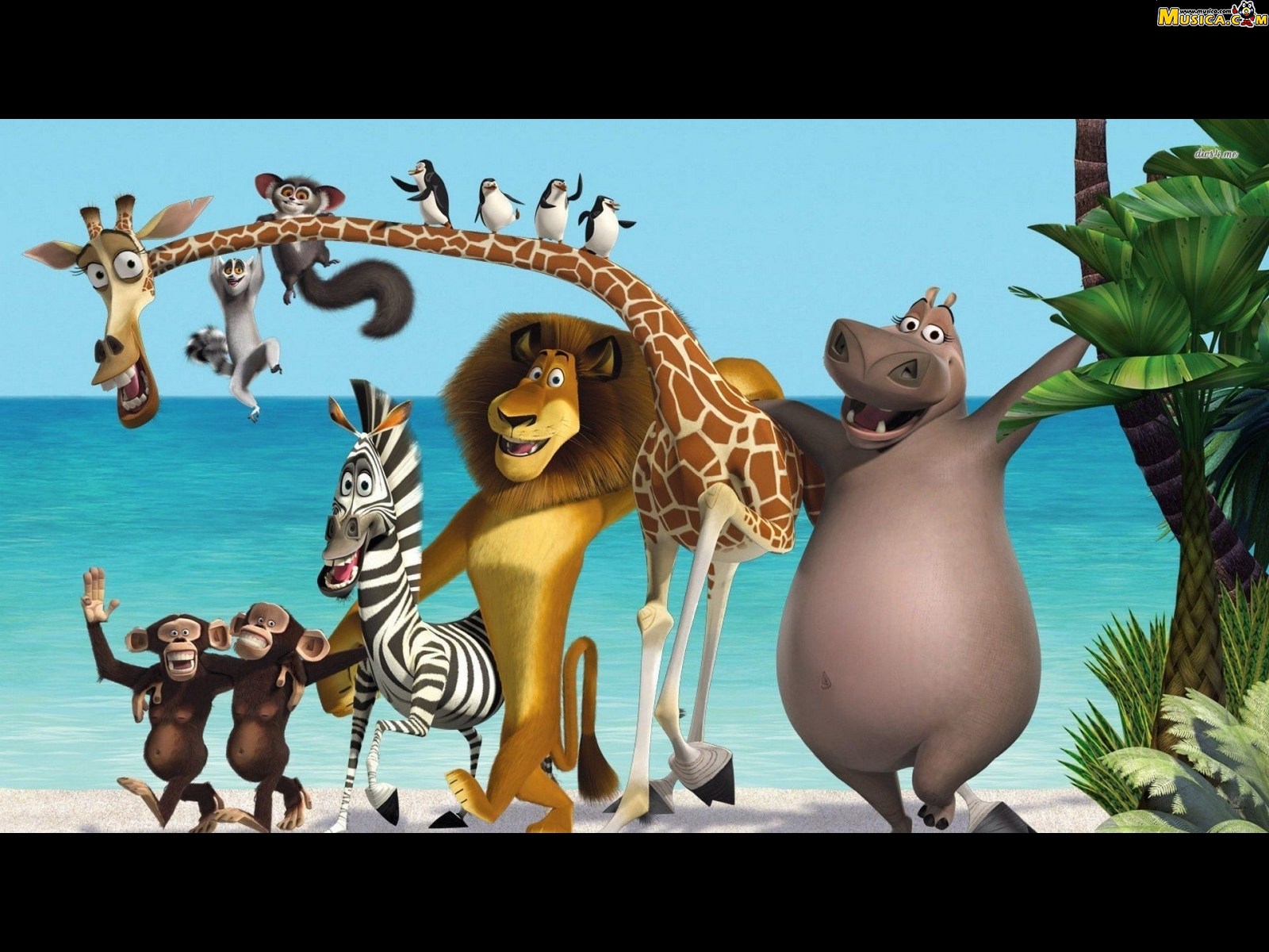 Fondo de pantalla de Madagascar