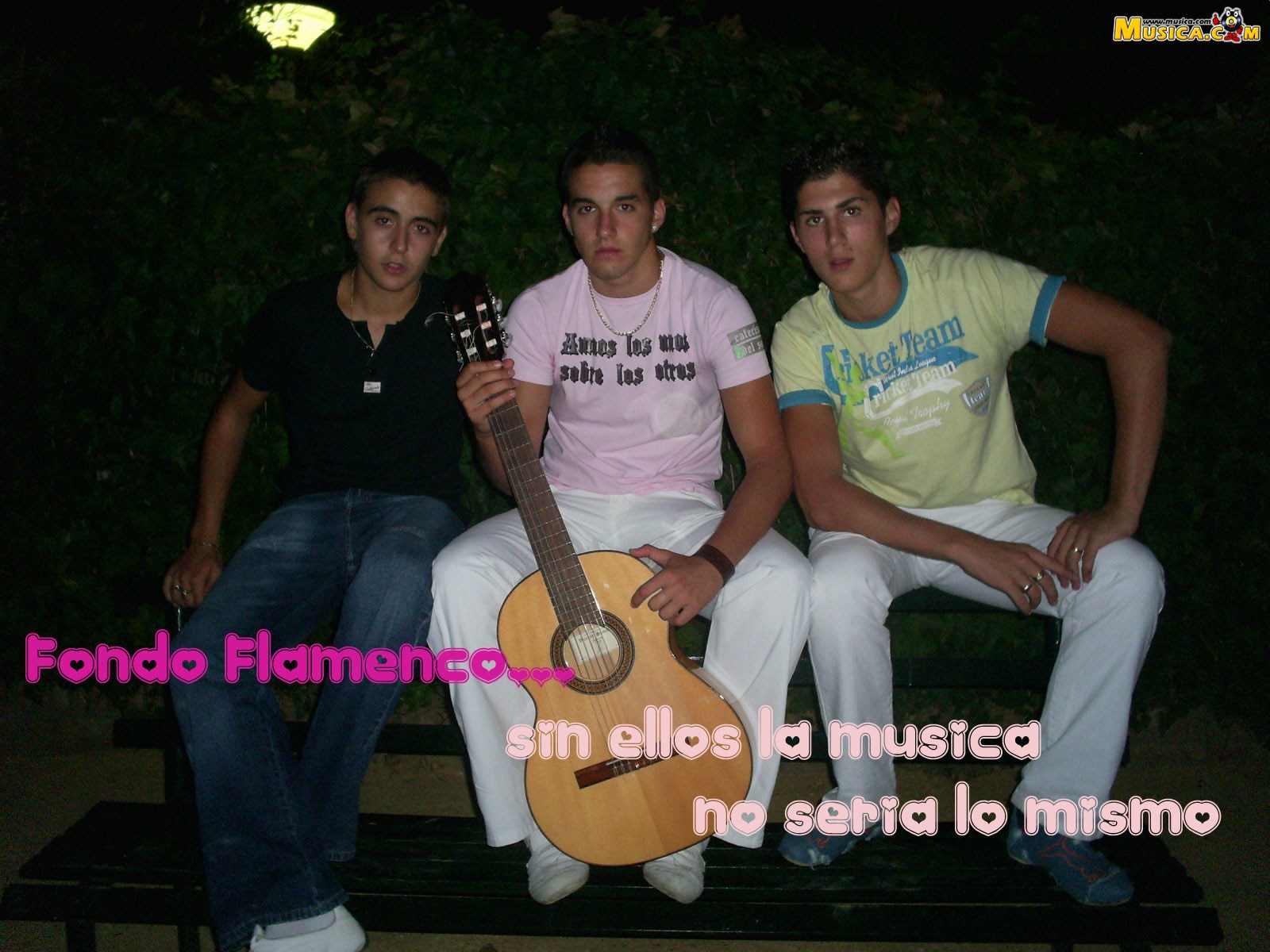 Fondo de pantalla de Fondo Flamenco