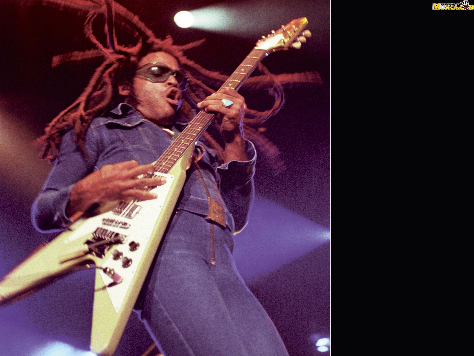 Fondo de pantalla de Lenny Kravitz