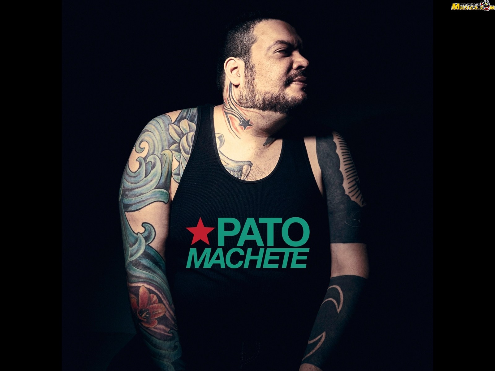 Fondo de pantalla de Pato Machete