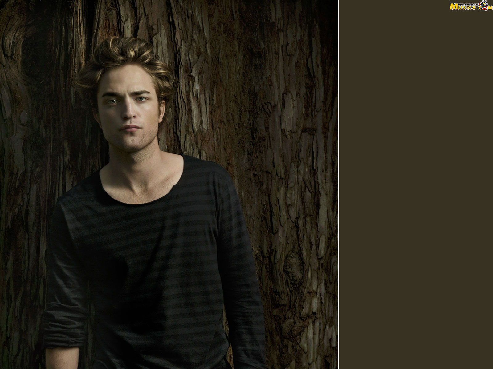 Fondo de pantalla de Robert Pattinson