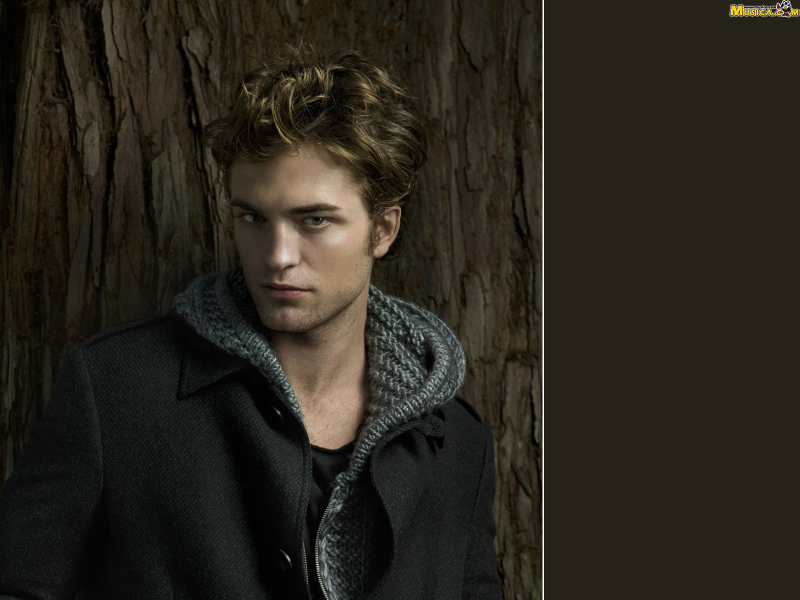 Fondo de pantalla de Robert Pattinson
