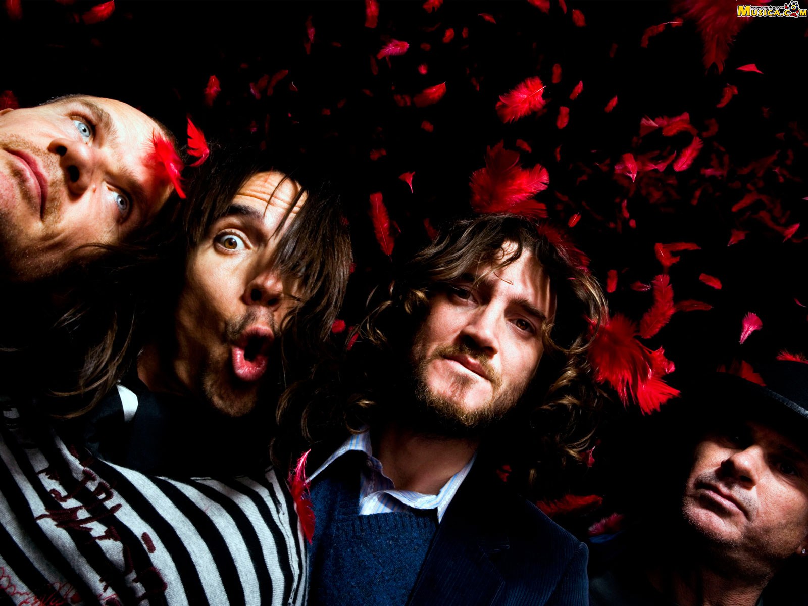 Fondo de pantalla de Red Hot Chili Peppers