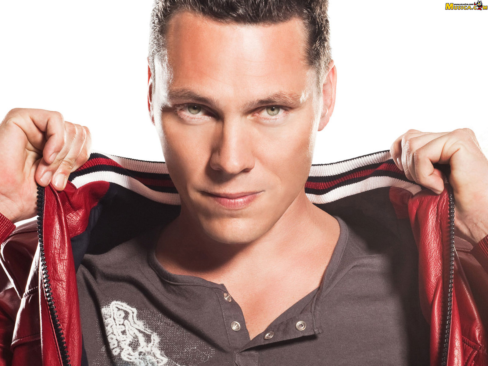 Fondo de pantalla de DJ Tiesto