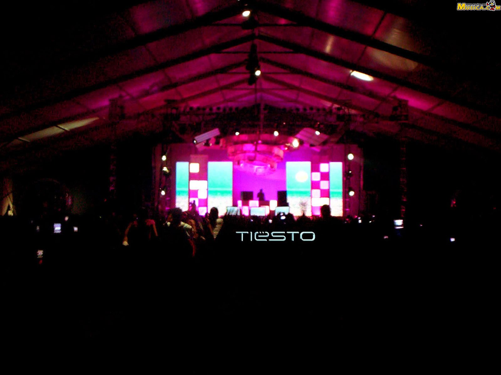 Fondo de pantalla de DJ Tiesto
