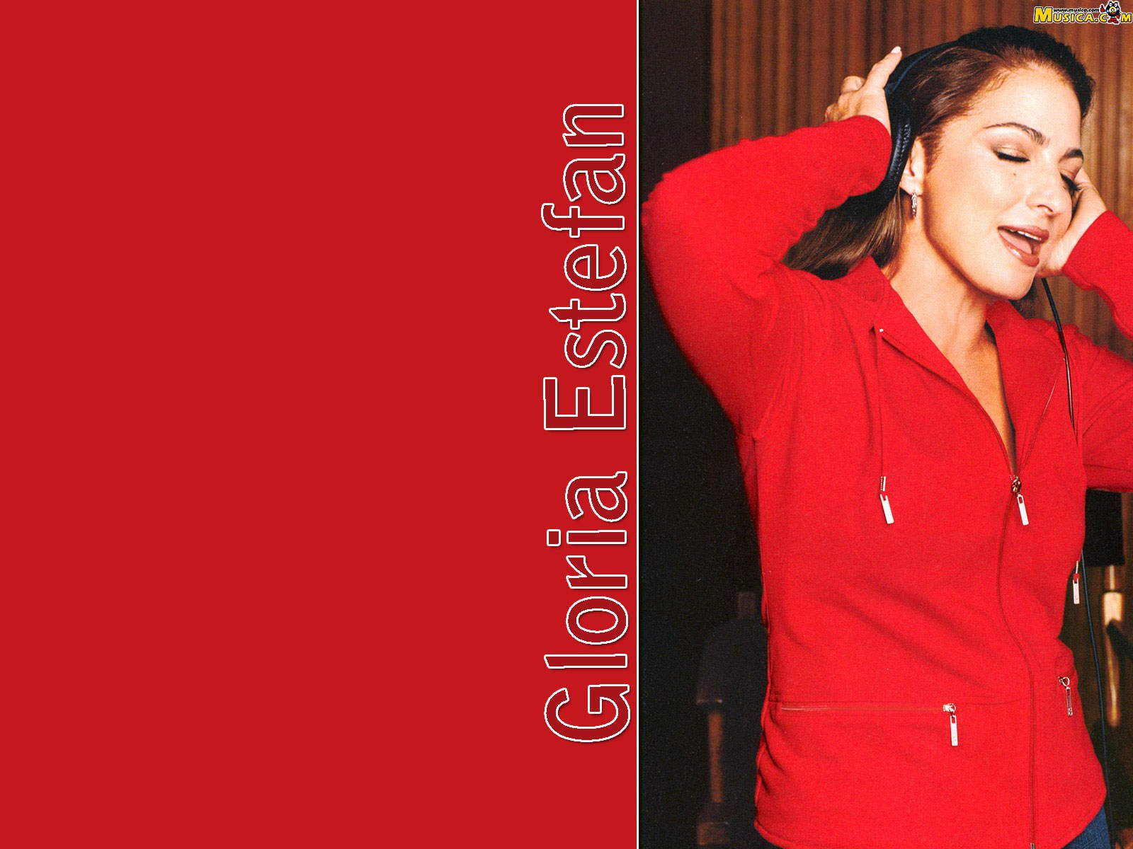Fondo de pantalla de Gloria Estefan